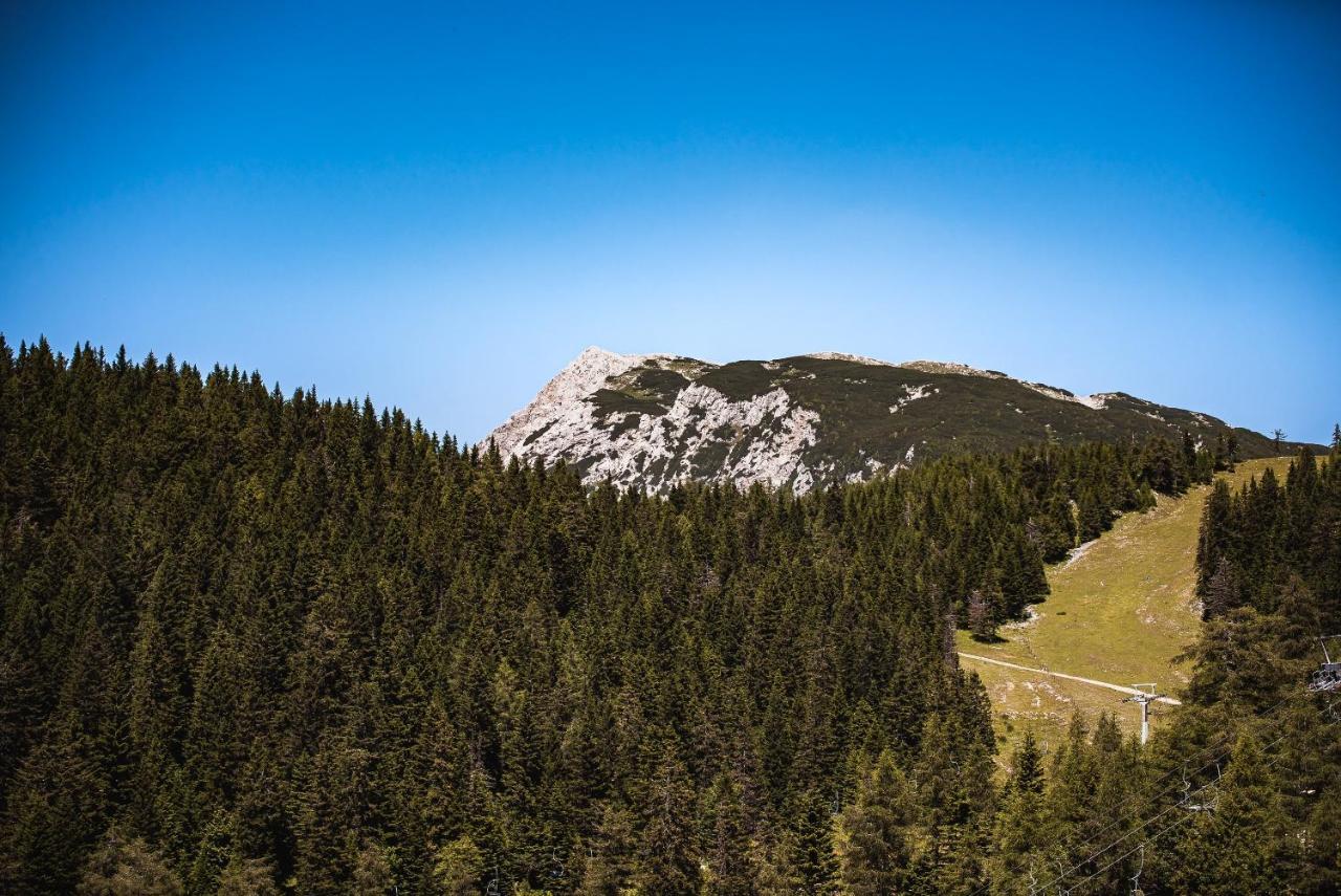 Apartments Zvoh, Krvavec, Ski-In, Ski-Out แซเคลียนาโกเรนสเคม ภายนอก รูปภาพ