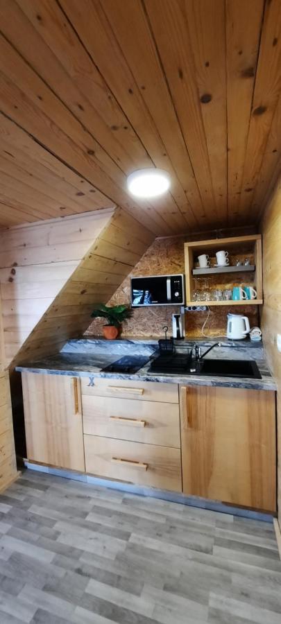 Apartments Zvoh, Krvavec, Ski-In, Ski-Out แซเคลียนาโกเรนสเคม ภายนอก รูปภาพ
